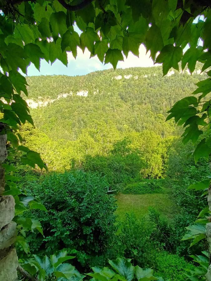 شقة Deux Pieces De Caractere Au Coeur Des Gorges Engins المظهر الخارجي الصورة